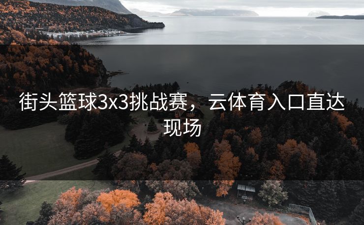 街头篮球3x3挑战赛，云体育入口直达现场